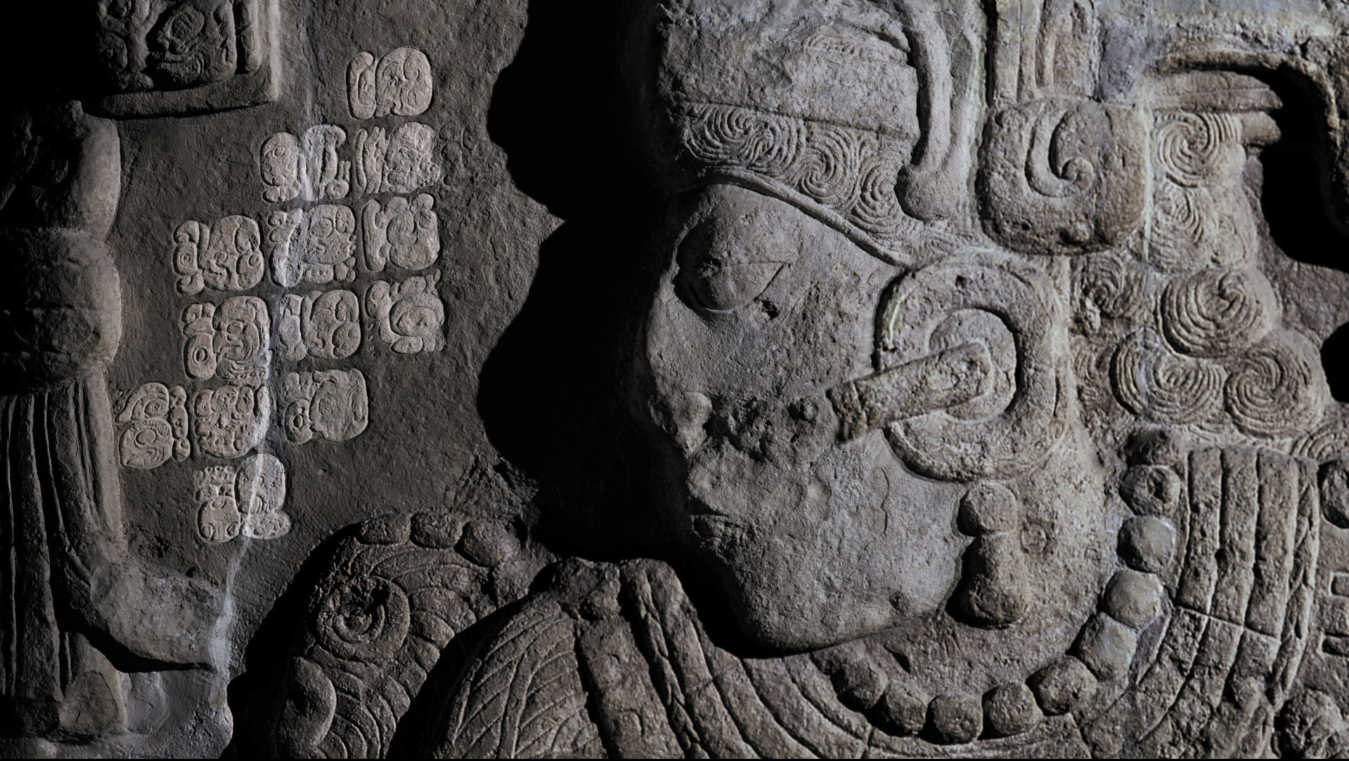 Breaking the Maya Code