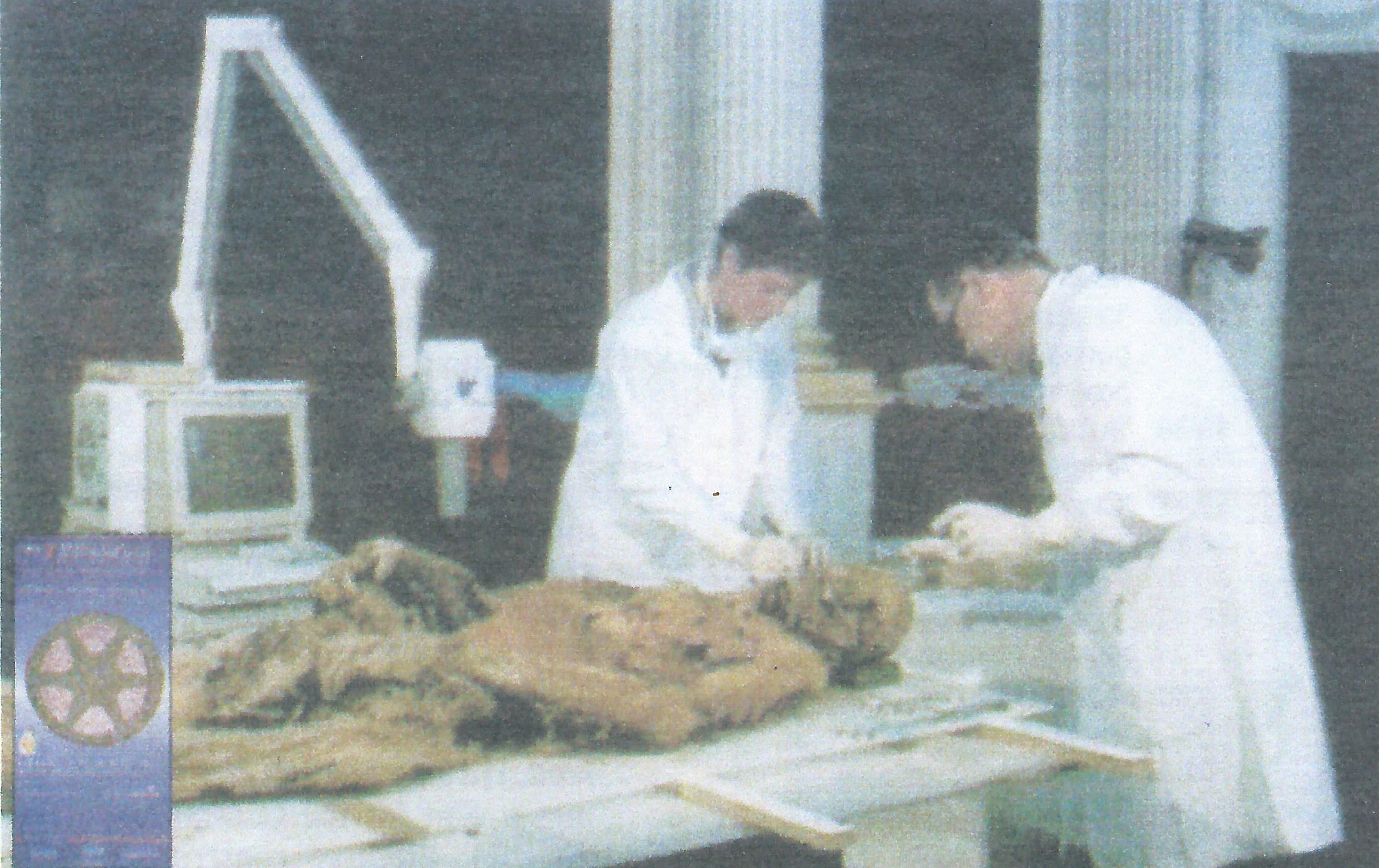 The mummies are teaching: the paleopathological study of Pandolfo III Malatesta