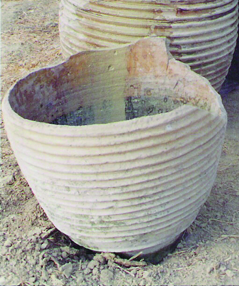 Jars: the workshops of hand made ceramics in the gulf of Messene