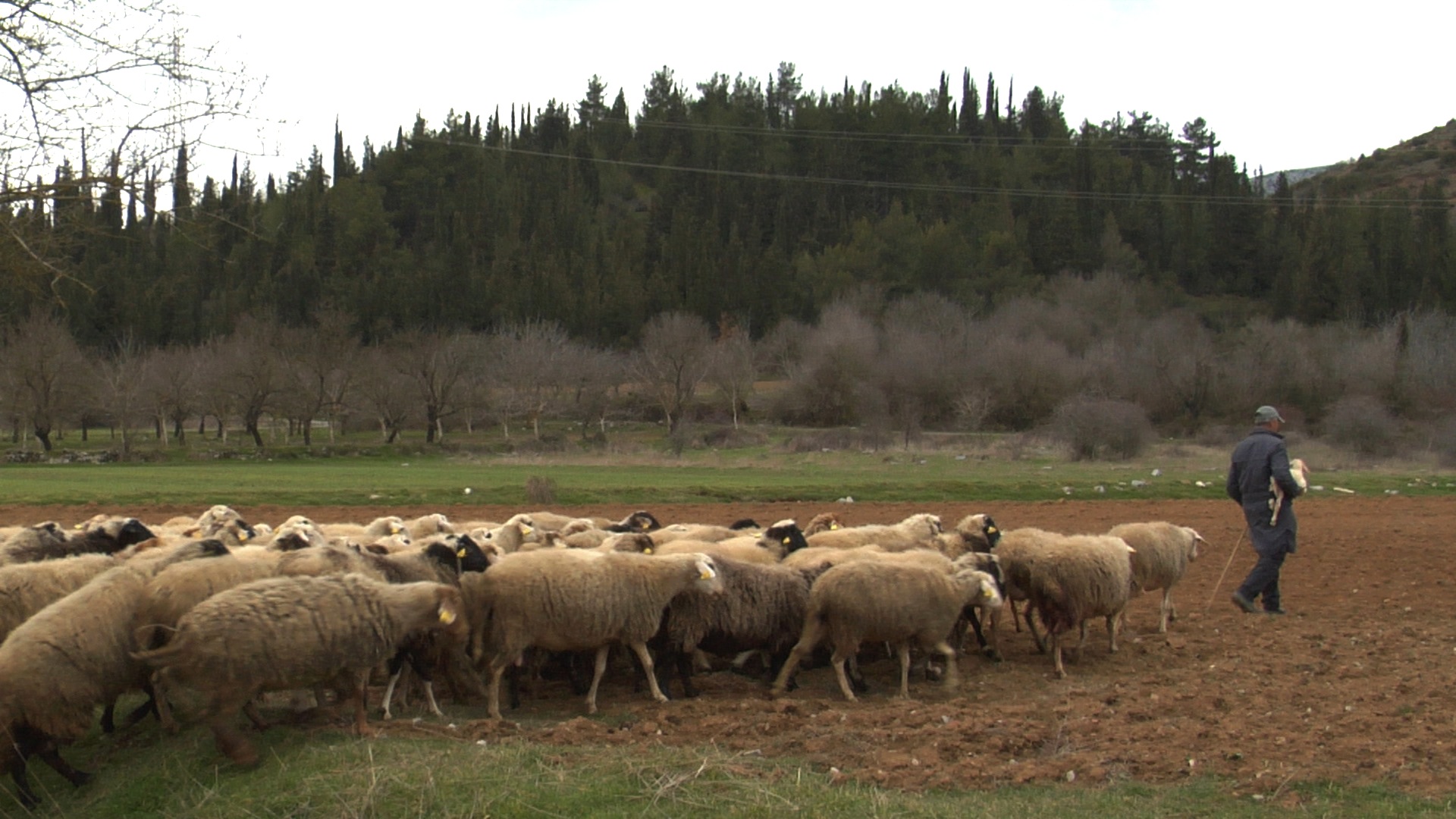 ΑΡΚΑΔΙΑ ΧΑΙΡΕ!